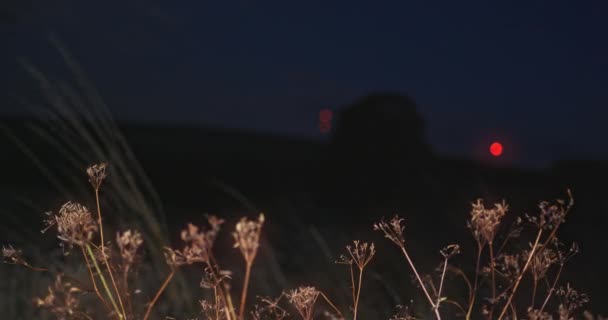 Campo Por Noche Con Césped Iluminado Por Los Faros Los — Vídeos de Stock