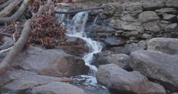 Water Stroomt Door Rotsen Herfstbladeren Wissahickon — Stockvideo