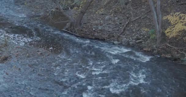 ウィサヒコン クリークは岩や石の上を流れている — ストック動画
