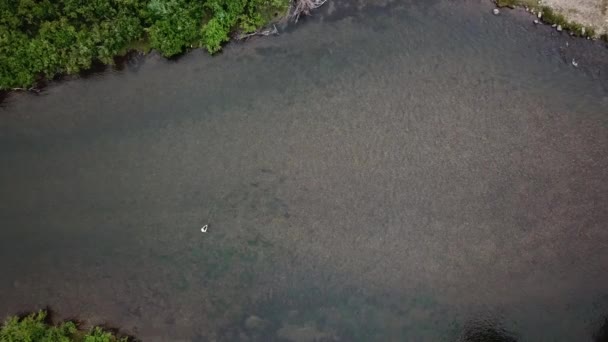 Disparo Avión Tripulado Por Encima Hombre Pesca Con Mosca Río — Vídeos de Stock