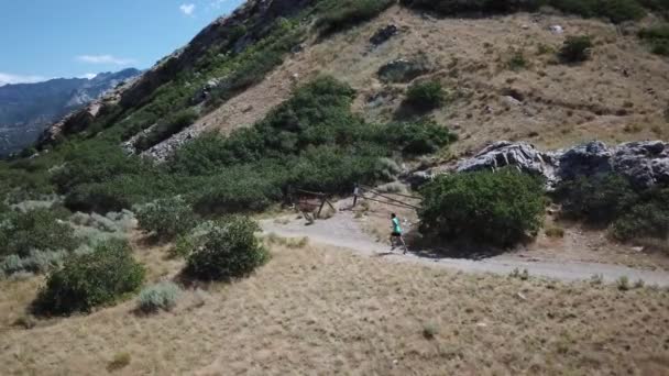 Drone Shot Siguiendo Hombre Activo Corriendo Los Senderos Wasatch Mountain — Vídeos de Stock