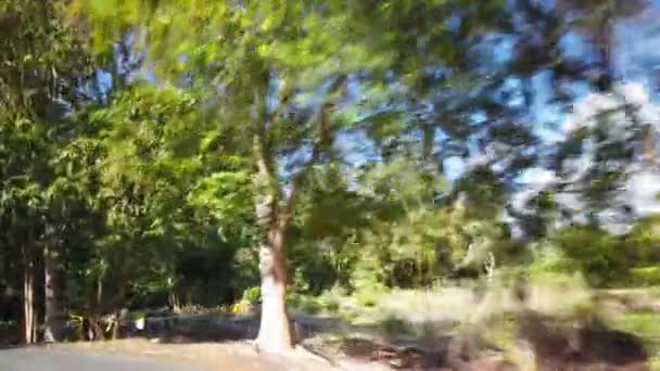 Uno Scatto Una Strada Sinuosa Che Attraversa Area Boscosa Isola — Video Stock