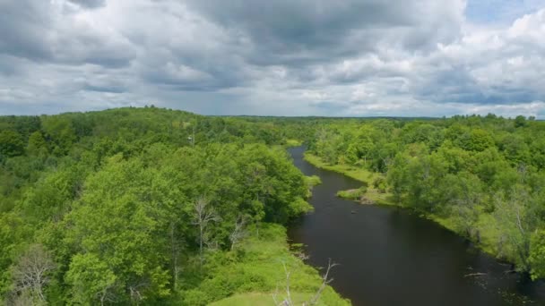 Drohnenblick Über Einen Dunklen Fluss Der Einem Bewölkten Tag Durch — Stockvideo