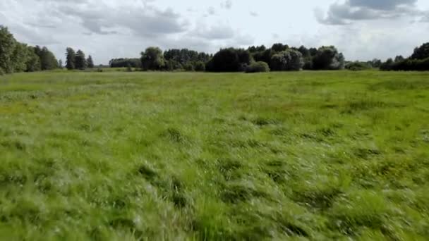 緑の草の上の空中映像 — ストック動画