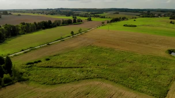 Letecké Záběry Nad Vesnicí Krásné Zelené Pole Čerstvá Tráva Přírodní — Stock video