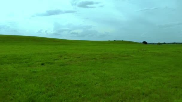 Langzaam Vliegen Groen Grasveld Blauwe Lucht Grijze Wolken Luchtfoto Bioscoop — Stockvideo