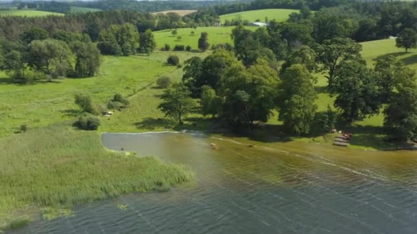 Flygfoto Kor Som Svalkar Sig Varm Sommardag — Stockvideo