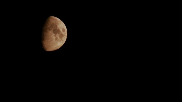 Luna Timelapse Movimento Naturale Dietro Gli Alberi — Video Stock