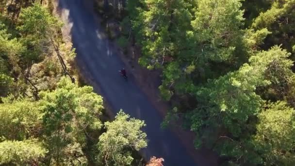 Bike Ride Aerial Joven Montando Bicicleta Sendero Forestal Paseo Bicicleta — Vídeo de stock