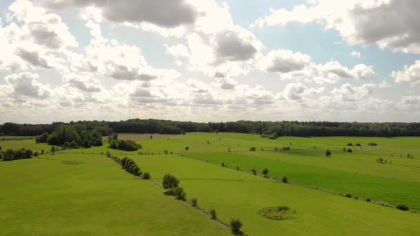 Filmato Aereo Sopra Prato Verde Cielo Nuvole Bianche Blu Sotto — Video Stock