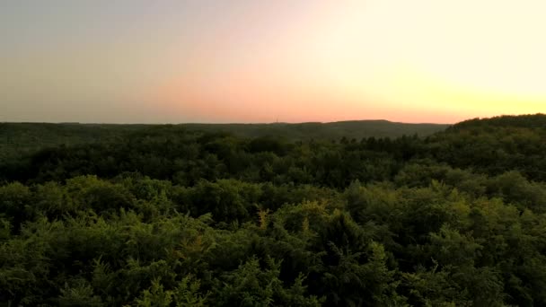 Imágenes Aéreas Sobre Bosque Durante Atardecer Hermoso Cielo Horizonte Coronas — Vídeo de stock