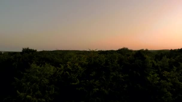 Filmagem Aérea Sobre Floresta Durante Pôr Sol Céu Bonito Horizonte — Vídeo de Stock