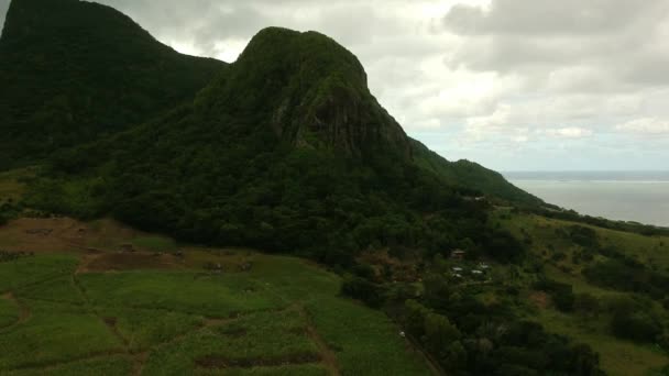 Tiro Aéreo Uma Montanha Costa Mauriciana Totalmente Coberto Com Vegetação — Vídeo de Stock