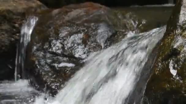 Waterstroom Bij Waterval Genaamd Goraka Ella Sri Lanka — Stockvideo