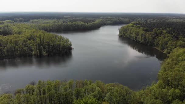 环绕着绿树的美丽的欧洲湖泊的空中 — 图库视频影像