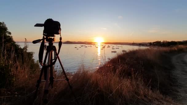 Shooting Landscape Timelaps Boats Marina Bay Sea Colorful Sky Golden — Stock Video