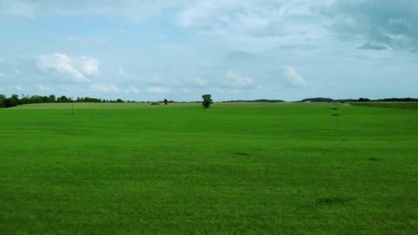 Vlucht Groen Grasveld Een Boom Horizont Blauwe Lucht Luchtfoto Door — Stockvideo