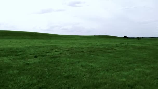 Letecký Záznam Nad Travnatým Polem Zelený Trávník Modrá Obloha Přírodní — Stock video