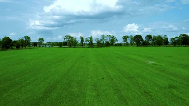 Luchtopname Grasveld Groen Gazon Blauwe Lucht Natuurlijk Landschap Dorp Filmische — Stockvideo