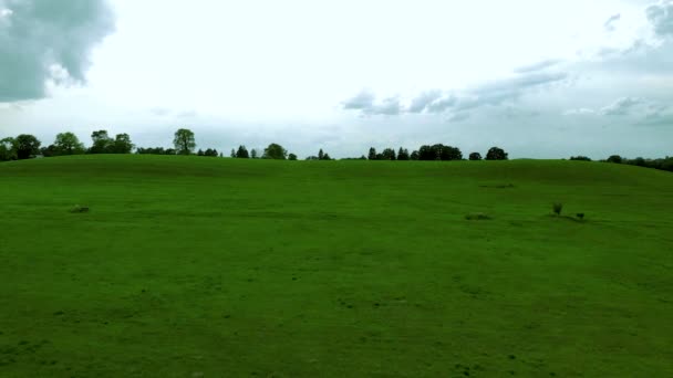 Полет Рядом Зеленым Полем Небольшим Холмом Природный Ландшафт Рядом Деревней — стоковое видео