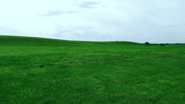 Filmato Aereo Sulla Collina Verde Sul Paesaggio Del Villaggio — Video Stock