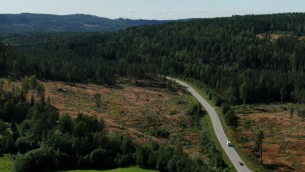 Кинематографический Вид Воздуха Автомобили Движущиеся Скоростной Дороге Через Лес Горах — стоковое видео