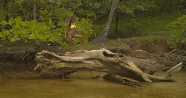 Modell Som Står Ett Rotlöst Träd Floden Klädd Härlig Bikini — Stockvideo