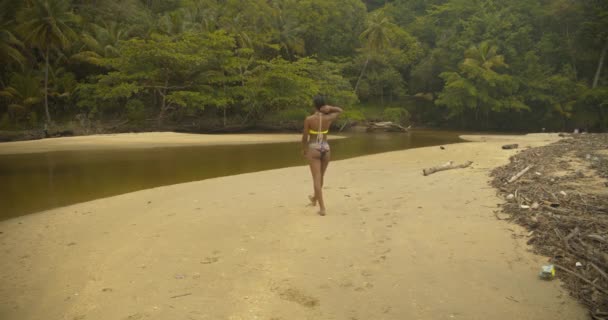 Sexy Bikini Modelo Vista Desde Espalda Mientras Camina Hacia Río — Vídeo de stock