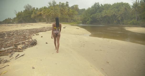 セクシー女の子歩くと川の端に沿ってAビキニ — ストック動画