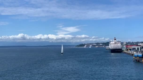 Ein Segelboot Elliot Bay Seattle Washington Segelt Richtung Kamera — Stockvideo