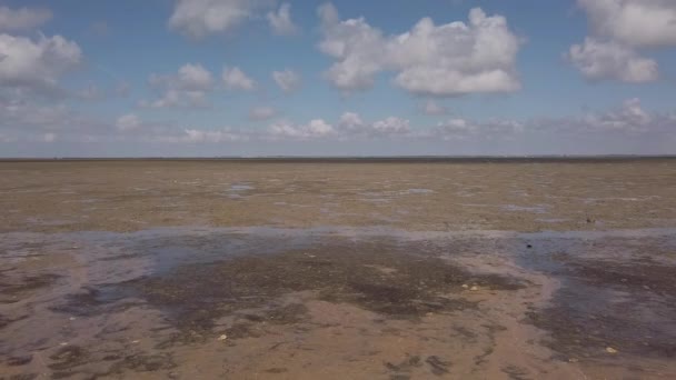Dolly Lastbil Pan Atlanten Stranden Ett Territorium Vid Lågvatten Täckt — Stockvideo