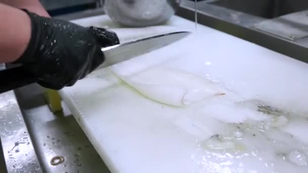 Bir Şef Kalamar Temizler Çiğ Deniz Ürünleri — Stok video