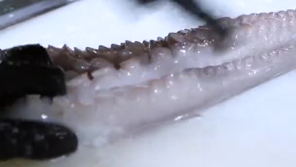Een Chef Reinigt Octopus Rauwe Zeevruchten — Stockvideo