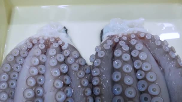 Clean Washed Octopus Raw Seafood Vertical Panning — Stock Video