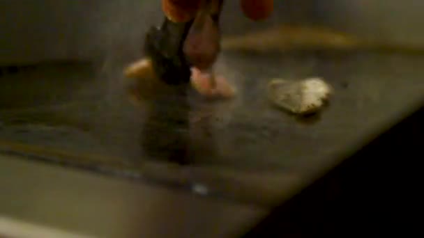 식당에서 생선을 저으는 요리사 — 비디오