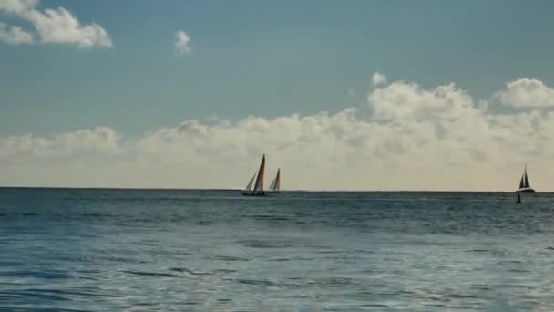 Two Sailboats Sailing Horizon Line Right Blue Sky Clouds — Stock Video