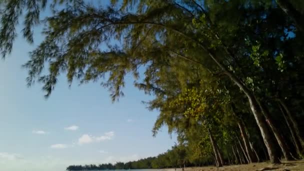 熱帯のビーチの多くの木のタイムラプス カメラが右に移動します 空には小さな雲があります — ストック動画