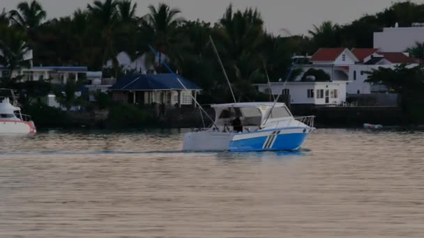 一艘在日出时离开码头的浪花渔船 船是白色和蓝色的 它在一些房子附近航行 周围都是树 — 图库视频影像