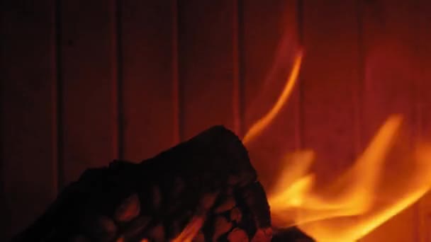 Brennende Flamme Kamin Auf Holzstämmen Mittlere Aufnahme Eines Einem Kamin — Stockvideo