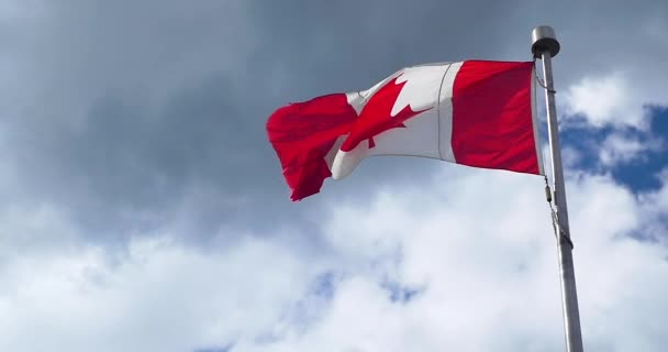 Uma Bandeira Canadiana Soprar Vento Sol Atinge Faz Com Que — Vídeo de Stock