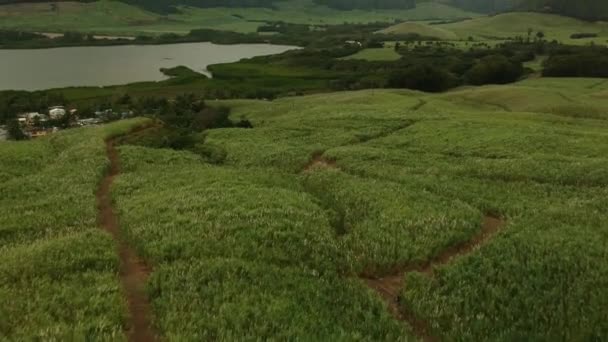 Letecký Snímek Krajiny Mauricia Plantáží Cukrové Třtiny Popředí Jezero Hory — Stock video