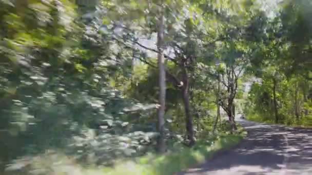 Tiro Carro Uma Estrada Que Atravessa Uma Floresta Tropical — Vídeo de Stock