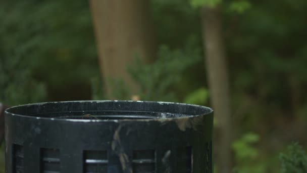 緑の公園のゴミ箱にペットボトルを落とす手 — ストック動画