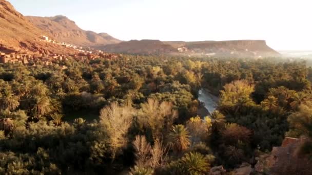 Todra Wąwóz Daty Gaj Rzeki Płynącej Przez Dolinę Blat Góry — Wideo stockowe