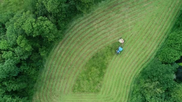 Vizuálně Příjemné Shora Dolů Sekání Trávy Pole Traktoru Řezání Směrem — Stock video