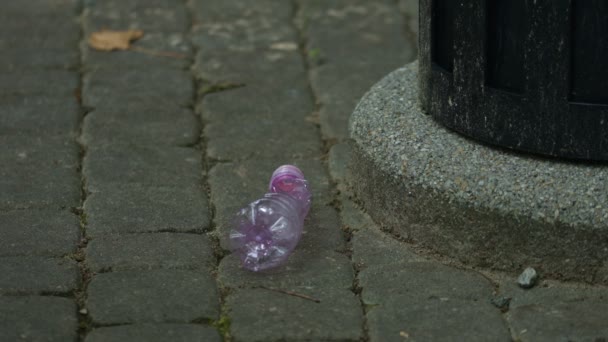 Donna Solleva Spazzatura Bottiglia Plastica Dalla Strada Getta Nel Cestino — Video Stock