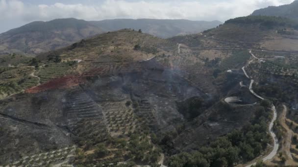 Fumeurs Aériens Restes Feu Forêt Parmi Les Oliveraies Espagne Grenade — Video