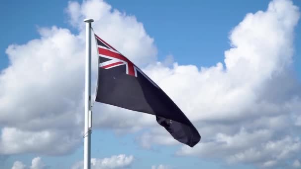 Zélandi Zászló Lengett Szélben — Stock videók