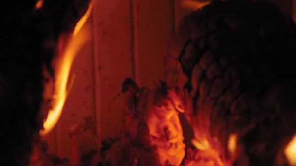 木材の丸太で暖炉で炎を燃やす 暖炉で燃えるユールの丸太のショットを閉じる — ストック動画