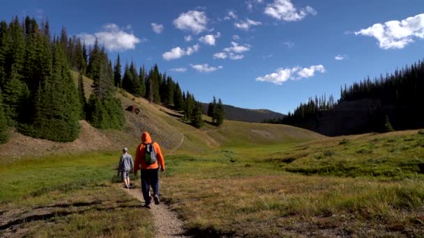 慢动作在落基山脉国家公园远足 — 图库视频影像